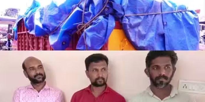 റേഷൻ അരി കരിഞ്ചന്തയിൽ വിൽക്കാൻ ശ്രമിച്ച മൂന്നുപേർ അറസ്റ്റിൽ റേഷൻ അരി കരിഞ്ചന്തയിൽ വിൽക്കാൻ ശ്രമിച്ച മൂന്നുപേർ അറസ്റ്റിൽ