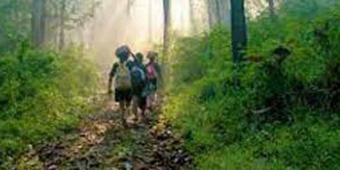 തീര്ത്ഥാടന കാലം ; നിലയ്ക്കല് ബേസ് ക്യാമ്പില് രണ്ട് കെട്ടിടത്തിന്റെ പണികള് പൂര്ത്തിയായി തീര്ത്ഥാടന കാലം ; നിലയ്ക്കല് ബേസ് ക്യാമ്പില് രണ്ട് കെട്ടിടത്തിന്റെ പണികള് പൂര്ത്തിയായി