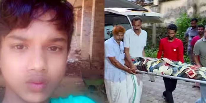 വൈദ്യുതി വേലിയില് നിന്നും ഷോക്കേറ്റ് 13കാരന് മരിച്ച സംഭവം ; സ്ഥലം പാട്ടത്തിനെടുത്തയാള് അറസ്റ്റില് വൈദ്യുതി വേലിയില് നിന്നും ഷോക്കേറ്റ് 13കാരന് മരിച്ച സംഭവം ; സ്ഥലം പാട്ടത്തിനെടുത്തയാള് അറസ്റ്റില്