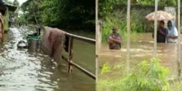 കനത്ത മഴയിൽ തിരുവനന്തപുരം ജില്ലയിൽ 89.87 ലക്ഷത്തിന്റെ കൃഷിനാശം കനത്ത മഴയിൽ തിരുവനന്തപുരം ജില്ലയിൽ 89.87 ലക്ഷത്തിന്റെ കൃഷിനാശം