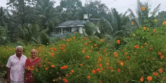 റോഡരികിൽ പൂന്തോട്ടം നിര്മ്മിച്ച് വൃദ്ധ ദമ്പതികള് റോഡരികിൽ പൂന്തോട്ടം നിര്മ്മിച്ച് വൃദ്ധ ദമ്പതികള്