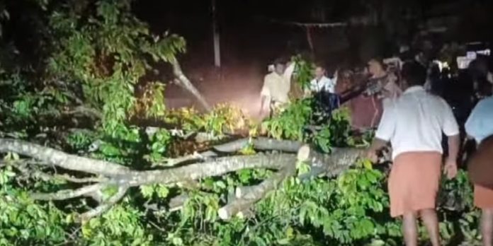 കനത്ത മഴയിൽ ട്രാക്കിലേക്ക് മരം വീണു ; ട്രെയിൻ ഗതാഗതം സ്തംഭിച്ചു കനത്ത മഴയിൽ ട്രാക്കിലേക്ക് മരം വീണു ; ട്രെയിൻ ഗതാഗതം സ്തംഭിച്ചു