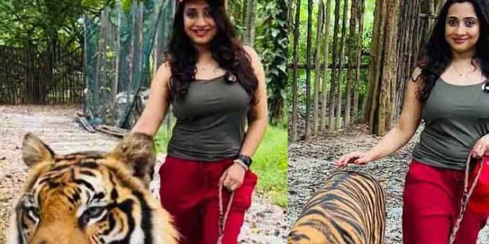 കടുവക്കൊപ്പം ക്യാറ്റ് വാക്ക് നടത്തി നടി പൂജിത മേനോൻ കടുവക്കൊപ്പം ക്യാറ്റ് വാക്ക് നടത്തി നടി പൂജിത മേനോൻ