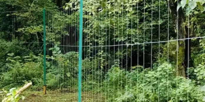 കുതിരാന് തുരങ്കത്തിന് സമീപത്ത് കാട്ടാനശല്യം ; വൈദ്യുതി വേലിയുമായി വനംവകുപ്പ് കുതിരാന് തുരങ്കത്തിന് സമീപത്ത് കാട്ടാനശല്യം ; വൈദ്യുതി വേലിയുമായി വനംവകുപ്പ്