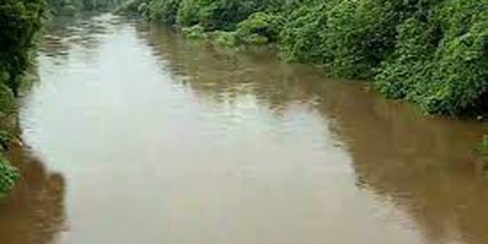 മഴ ; അച്ചൻകോവിലാറ്റിൽ ഒരു ദിവസം കൊണ്ടുയർന്നത് അഞ്ച് അടിയിലധികം വെള്ളം മഴ ; അച്ചൻകോവിലാറ്റിൽ ഒരു ദിവസം കൊണ്ടുയർന്നത് അഞ്ച് അടിയിലധികം വെള്ളം