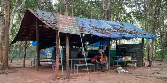 അടവിയിലെ ആരണ്യകം ലഘു ഭക്ഷണ ശാലയോട് അധികൃതർക്ക് അവഗണന അടവിയിലെ ആരണ്യകം ലഘു ഭക്ഷണ ശാലയോട് അധികൃതർക്ക് അവഗണന