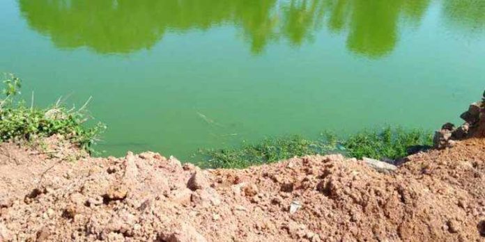 ഇരട്ടകുളങ്ങര മഹാദേവ ക്ഷേത്രക്കുളം സംരക്ഷിക്കണം ; വിശ്വഹിന്ദു പരിഷത്ത് അമ്പലപ്പുഴ പ്രഖണ്ഡ് സമിതി ഇരട്ടകുളങ്ങര മഹാദേവ ക്ഷേത്രക്കുളം സംരക്ഷിക്കണം ; വിശ്വഹിന്ദു പരിഷത്ത് അമ്പലപ്പുഴ പ്രഖണ്ഡ് സമിതി