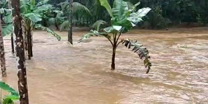 നാരങ്ങാനം വലിയകുളത്ത് 62 വയസ്സുകാരിയെ ഒഴുക്കിൽപ്പെട്ട് കാണാതായി നാരങ്ങാനം വലിയകുളത്ത് 62 വയസ്സുകാരിയെ ഒഴുക്കിൽപ്പെട്ട് കാണാതായി