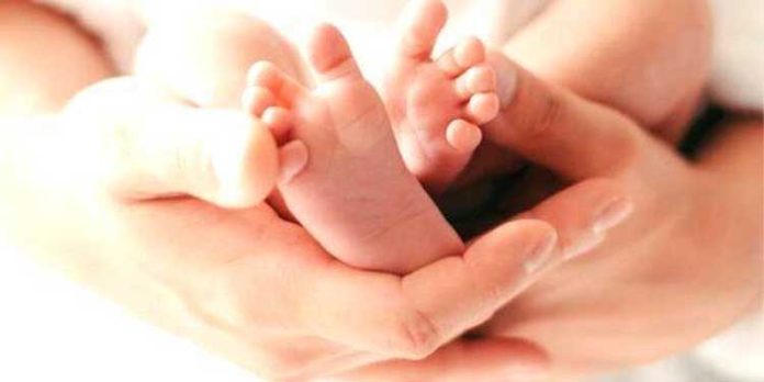 ഗാര്ഹിക പ്രസവം ; അനധികൃത ആരോഗ്യ കേന്ദ്രങ്ങള്ക്കെതിരെ ശക്തമായ നടപടിയെന്ന് കളക്ടര് ഗാര്ഹിക പ്രസവം ; അനധികൃത ആരോഗ്യ കേന്ദ്രങ്ങള്ക്കെതിരെ ശക്തമായ നടപടിയെന്ന് കളക്ടര്
