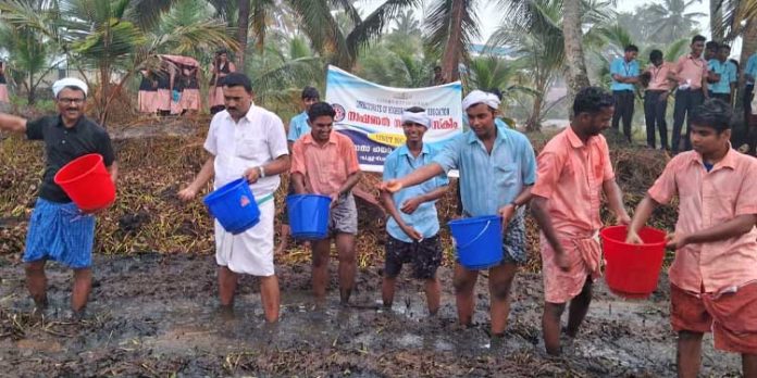 പുഞ്ചപാടത്തു വിത്തുവിതച്ച് ചെക്കിടിക്കാടു ലൂർദ് മാതാ ഹയർസെക്കൻററി സ്ക്കൂളിലെ കുട്ടികർഷകർ പുഞ്ചപാടത്തു വിത്തുവിതച്ച് ചെക്കിടിക്കാടു ലൂർദ് മാതാ ഹയർസെക്കൻററി സ്ക്കൂളിലെ കുട്ടികർഷകർ