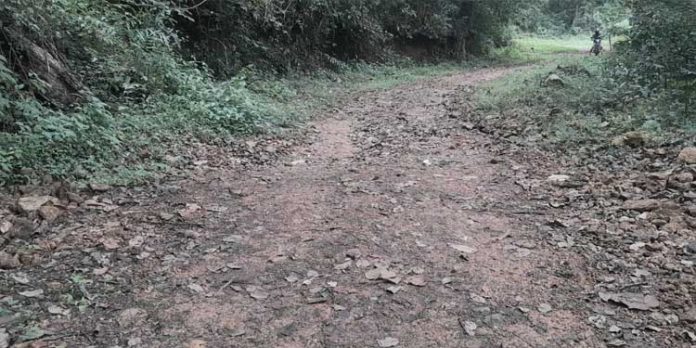 അഞ്ചുകുഴി കുടപ്പനക്കുളം റോഡ് സഞ്ചാര യോഗ്യമാക്കണം ; ആവശ്യം ശക്തമാകുന്നു അഞ്ചുകുഴി കുടപ്പനക്കുളം റോഡ് സഞ്ചാര യോഗ്യമാക്കണം ; ആവശ്യം ശക്തമാകുന്നു