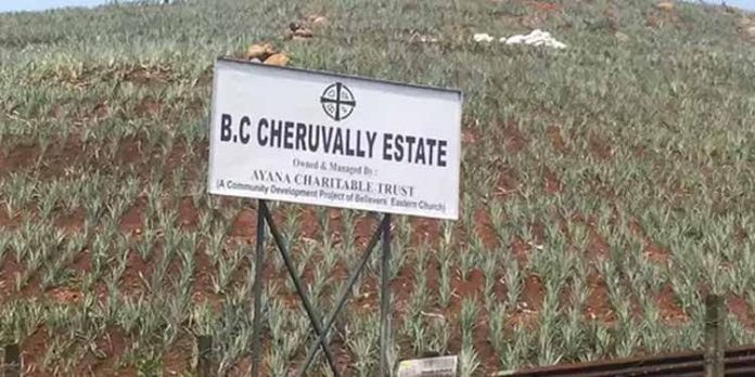 ശബരിമല വിമാനത്താവളം ; ചെറുവള്ളി എസ്റ്റേറ്റില് അതിർകല്ല് സ്ഥാപിക്കാനുള്ള തയ്യാറെടുപ്പുകൾ ആരംഭിച്ചു ശബരിമല വിമാനത്താവളം ; ചെറുവള്ളി എസ്റ്റേറ്റില് അതിർകല്ല് സ്ഥാപിക്കാനുള്ള തയ്യാറെടുപ്പുകൾ ആരംഭിച്ചു