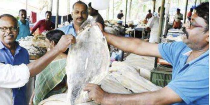 വൃശ്ചിക വാണിഭത്തിന് തെള്ളിയൂർക്കാവ് ഭഗവതി ക്ഷേത്രാങ്കണം ഒരുങ്ങി വൃശ്ചിക വാണിഭത്തിന് തെള്ളിയൂർക്കാവ് ഭഗവതി ക്ഷേത്രാങ്കണം ഒരുങ്ങി