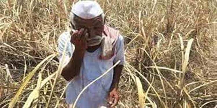 രാജ്യത്ത് ഏറ്റവും കുറഞ്ഞ വേതനം ലഭിക്കുന്ന തൊഴിലാളികൾ മധ്യപ്രദേശിൽ രാജ്യത്ത് ഏറ്റവും കുറഞ്ഞ വേതനം ലഭിക്കുന്ന തൊഴിലാളികൾ മധ്യപ്രദേശിൽ