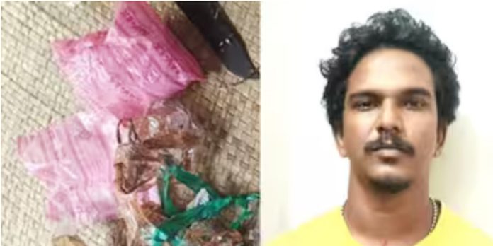 3 ലക്ഷം രൂപയുടെ ലഹരി മരുന്നുകളുമായി യുവാവ് പിടിയിൽ 3 ലക്ഷം രൂപയുടെ ലഹരി മരുന്നുകളുമായി യുവാവ് പിടിയിൽ