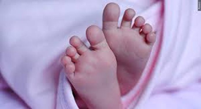 കുഞ്ഞുങ്ങളെ കടത്തി ബംഗളൂരുവിലെത്തിച്ച് വിൽക്കുന്ന സംഘം പിടിയിൽ കുഞ്ഞുങ്ങളെ കടത്തി ബംഗളൂരുവിലെത്തിച്ച് വിൽക്കുന്ന സംഘം പിടിയിൽ