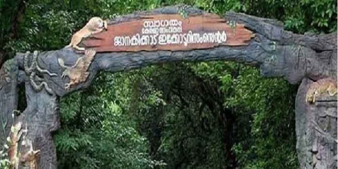 കാനന ഭംഗി കാണാം ; ജാനകി കാട്ടിലേക്കൊന്ന് പോയി വന്നാലോ, വെറും 360 രൂപയ്ക്ക് കാനന ഭംഗി കാണാം ; ജാനകി കാട്ടിലേക്കൊന്ന് പോയി വന്നാലോ, വെറും 360 രൂപയ്ക്ക്