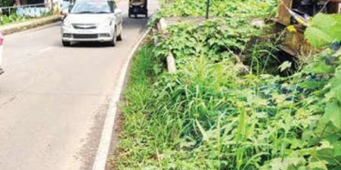 അപകടാവസ്ഥയില് കറ്റോട് പാലം ; തിരിഞ്ഞു നോക്കാതെ അധികൃതര് അപകടാവസ്ഥയില് കറ്റോട് പാലം ; തിരിഞ്ഞു നോക്കാതെ അധികൃതര്