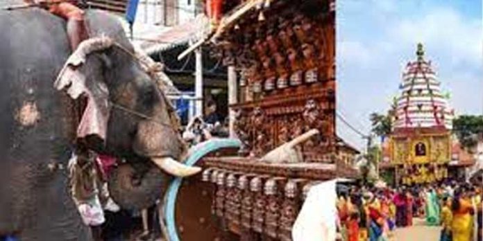 കല്പ്പാത്തി രഥോത്സവം ; രഥം തള്ളാന് ആനയെ ഉപയോഗിക്കരുതെന്ന് കർശന നിര്ദേശം കല്പ്പാത്തി രഥോത്സവം ; രഥം തള്ളാന് ആനയെ ഉപയോഗിക്കരുതെന്ന് കർശന നിര്ദേശം