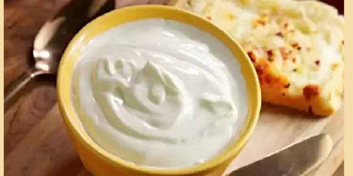 മയോണൈസ് ഫ്രിഡ്ജിൽ വയ്ക്കുന്നവരാണോ; ഇതറിയാതെ പോകരുത് മയോണൈസ് ഫ്രിഡ്ജിൽ വയ്ക്കുന്നവരാണോ; ഇതറിയാതെ പോകരുത്