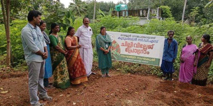 മുളക് ഗ്രാമം പദ്ധതി ഉദ്ഘാടനം ചെയ്തു മുളക് ഗ്രാമം പദ്ധതി ഉദ്ഘാടനം ചെയ്തു