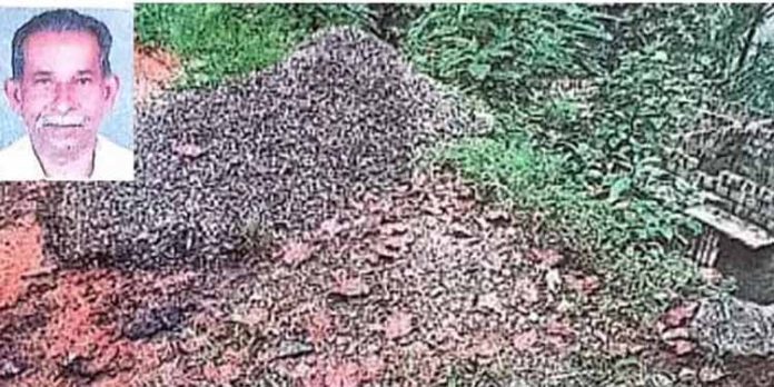 ലൈഫ് പദ്ധതിയിലെ വീടു പണി വൈകിയതില് മനം നൊന്ത് ജീവനൊടുക്കിയ ഓമല്ലൂരിലെ ഗോപിയുടെ വീടു പണി പൂര്ത്തിയാകുന്നു ലൈഫ് പദ്ധതിയിലെ വീടു പണി വൈകിയതില് മനം നൊന്ത് ജീവനൊടുക്കിയ ഓമല്ലൂരിലെ ഗോപിയുടെ വീടു പണി പൂര്ത്തിയാകുന്നു