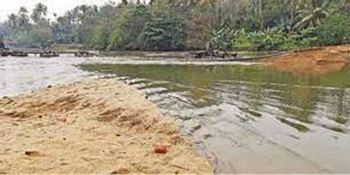 തുലാമഴ പെയ്തൊഴിയുന്നില്ല ; നെൽകൃഷി പ്രതിസന്ധിയില് തുലാമഴ പെയ്തൊഴിയുന്നില്ല ; നെൽകൃഷി പ്രതിസന്ധിയില്