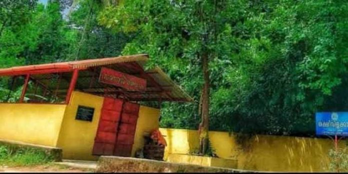 പന്തളം മങ്ങാരം യക്ഷിവിളക്കാവിലെ വൃശ്ചിക ചിറപ്പ് മഹോത്സവത്തിന് നവംബർ 17 ന് തുടക്കമാവും പന്തളം മങ്ങാരം യക്ഷിവിളക്കാവിലെ വൃശ്ചിക ചിറപ്പ് മഹോത്സവത്തിന് നവംബർ 17 ന് തുടക്കമാവും
