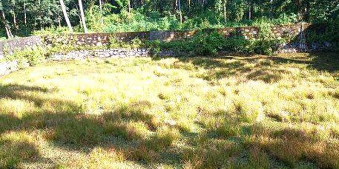 പൂഴിക്കാട് തവളം കുളം ഉപയോഗയോഗ്യമാക്കാൻ നടപടി വേണമെന്ന് നാട്ടുകാര് പൂഴിക്കാട് തവളം കുളം ഉപയോഗയോഗ്യമാക്കാൻ നടപടി വേണമെന്ന് നാട്ടുകാര്
