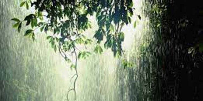 സംസ്ഥാനത്ത് അഞ്ച് ജില്ലകളില് യെല്ലോ അലര്ട്ട് പ്രഖ്യാപിച്ചു സംസ്ഥാനത്ത് അഞ്ച് ജില്ലകളില് യെല്ലോ അലര്ട്ട് പ്രഖ്യാപിച്ചു