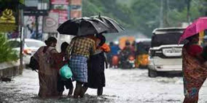 തമിഴ്നാട്ടില് ശക്തമായ മഴ ; രണ്ട് ജില്ലകളിലെ സ്കൂളുകള്ക്ക് അവധി തമിഴ്നാട്ടില് ശക്തമായ മഴ ; രണ്ട് ജില്ലകളിലെ സ്കൂളുകള്ക്ക് അവധി