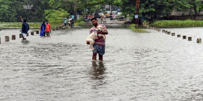 കനത്ത മഴക്കൊപ്പം ഇടിമിന്നലും കാറ്റും ശക്തമാകും ; 5 ജില്ലകളിൽ യെല്ലോ അലർട്ട് കനത്ത മഴക്കൊപ്പം ഇടിമിന്നലും കാറ്റും ശക്തമാകും ; 5 ജില്ലകളിൽ യെല്ലോ അലർട്ട്