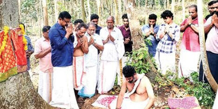 കീക്കൊഴൂർ – വയലത്തല കരയുടെ പുതിയ പള്ളിയോട നിർമാണത്തിന് മുന്നോടിയായുള്ള വൃക്ഷപൂജ നടന്നു കീക്കൊഴൂർ – വയലത്തല കരയുടെ പുതിയ പള്ളിയോട നിർമാണത്തിന് മുന്നോടിയായുള്ള വൃക്ഷപൂജ നടന്നു