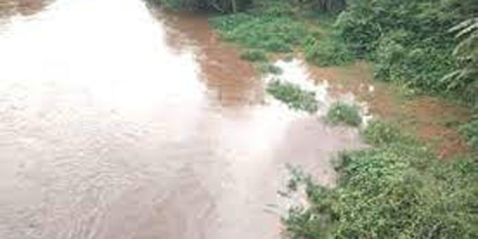 തോട്ടിൽകുളിക്കുന്നതിനിടെ കാണാതായ സ്ത്രീയെ കണ്ടെത്താനായില്ല തോട്ടിൽകുളിക്കുന്നതിനിടെ കാണാതായ സ്ത്രീയെ കണ്ടെത്താനായില്ല