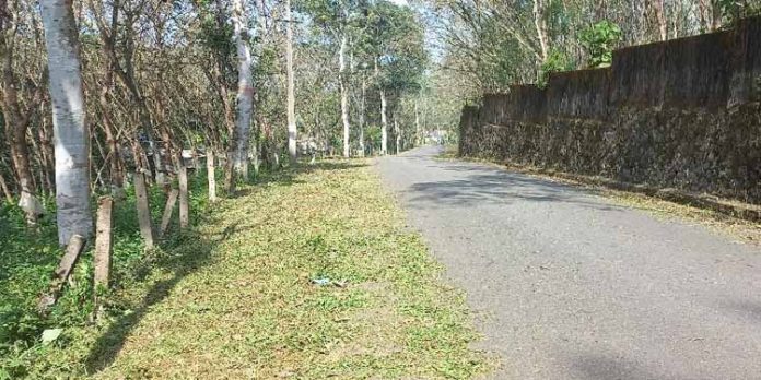 ശബരിമല മുന്നൊരുക്കം : തീര്ത്ഥാടന പാതയില് കാടുകള് തെളിച്ചു ശബരിമല മുന്നൊരുക്കം : തീര്ത്ഥാടന പാതയില് കാടുകള് തെളിച്ചു