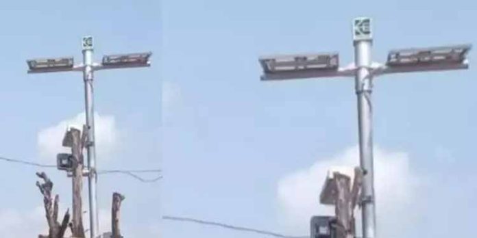 മണ്ഡല മകര വിളക്ക് സീസണിൽ ശബരിമലയിൽ എത്തുന്ന വാഹനങ്ങളുടെ കണക്കെടുക്കാൻ മോട്ടോർ വാഹന വകുപ്പ് മണ്ഡല മകര വിളക്ക് സീസണിൽ ശബരിമലയിൽ എത്തുന്ന വാഹനങ്ങളുടെ കണക്കെടുക്കാൻ മോട്ടോർ വാഹന വകുപ്പ്