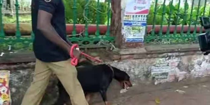 സെക്രട്ടറിയേറ്റിന് ബോംബ് ഭീഷണിയുമായി വിളിച്ചയാളെ തിരിച്ചറിഞ്ഞുവെന്ന് പോലീസ് സെക്രട്ടറിയേറ്റിന് ബോംബ് ഭീഷണിയുമായി വിളിച്ചയാളെ തിരിച്ചറിഞ്ഞുവെന്ന് പോലീസ്