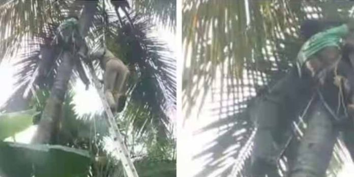 തൃശ്ശൂര് അഞ്ചേരിയിൽ തെങ്ങ് കയറുന്നതിനിടെ യുവാവ് അപകടത്തിൽപെട്ടു ; രക്ഷകരായത് ഫയർ ഫോഴ്സ് തൃശ്ശൂര് അഞ്ചേരിയിൽ തെങ്ങ് കയറുന്നതിനിടെ യുവാവ് അപകടത്തിൽപെട്ടു ; രക്ഷകരായത് ഫയർ ഫോഴ്സ്