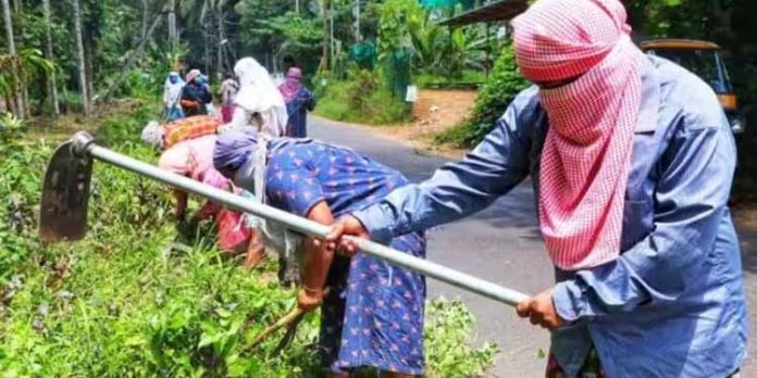 തൊഴിലുറപ്പ് സോഷ്യല് ഓഡിറ്റ് ; കേരളം വീണ്ടും ഒന്നാമത് തൊഴിലുറപ്പ് സോഷ്യല് ഓഡിറ്റ് ; കേരളം വീണ്ടും ഒന്നാമത്