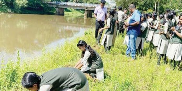 വള്ളംകുളം നാഷണൽ ഹൈസ്കൂളിലെ സീഡ് ക്ലബ്ബംഗങ്ങൾ വരട്ടാർ തീരത്ത് മുളം തൈകൾ നട്ടു വള്ളംകുളം നാഷണൽ ഹൈസ്കൂളിലെ സീഡ് ക്ലബ്ബംഗങ്ങൾ വരട്ടാർ തീരത്ത് മുളം തൈകൾ നട്ടു