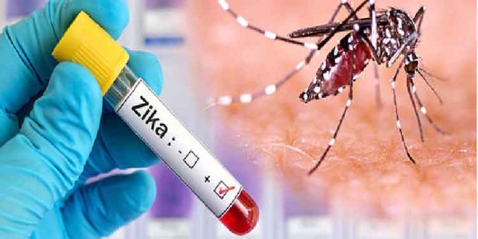 സിക്ക വൈറസ് : ജാഗ്രത പാലിക്കണം, രോഗലക്ഷണമുള്ളവര് ചികിത്സ തേടണമെന്ന് ആരോഗ്യ മന്ത്രി സിക്ക വൈറസ് : ജാഗ്രത പാലിക്കണം, രോഗലക്ഷണമുള്ളവര് ചികിത്സ തേടണമെന്ന് ആരോഗ്യ മന്ത്രി