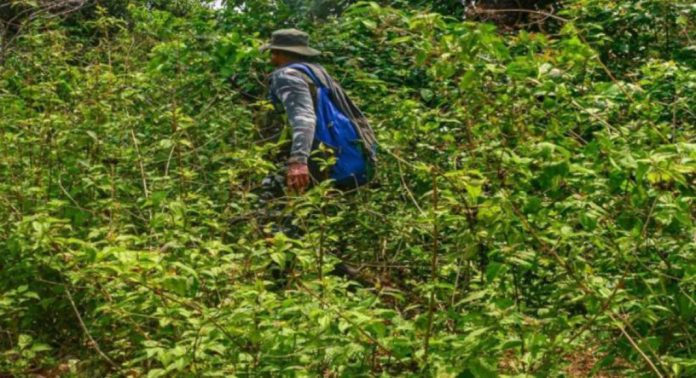 ഛത്തീസ്ഗഢിൽ ഐഇഡികൾ കണ്ടെടുത്തു ; പ്രദേശത്ത് സുരക്ഷാസേന തിരച്ചിൽ തുടരുന്നു ഛത്തീസ്ഗഢിൽ ഐഇഡികൾ കണ്ടെടുത്തു ; പ്രദേശത്ത് സുരക്ഷാസേന തിരച്ചിൽ തുടരുന്നു