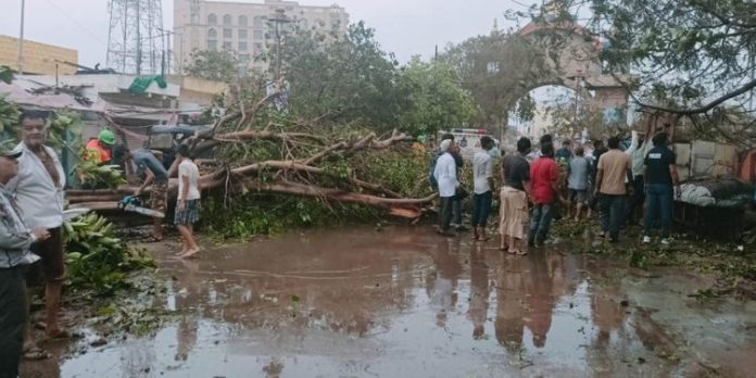 മിഷോങ് ചുഴലിക്കാറ്റ് : ദുരിതാശ്വാസ സഹായം പ്രഖ്യാപിച്ച് തമിഴ്നാട് സർക്കാർ മിഷോങ് ചുഴലിക്കാറ്റ് : ദുരിതാശ്വാസ സഹായം പ്രഖ്യാപിച്ച് തമിഴ്നാട് സർക്കാർ
