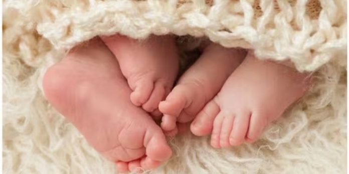 വയനാട് ഗവ.മെഡിക്കല് കോളേജില് മാസം തികയാതെ ജനിച്ച ഇരട്ട കുഞ്ഞുങ്ങള് മരിച്ചു വയനാട് ഗവ.മെഡിക്കല് കോളേജില് മാസം തികയാതെ ജനിച്ച ഇരട്ട കുഞ്ഞുങ്ങള് മരിച്ചു