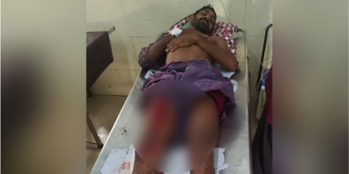 കൊല്ലത്ത് കാട്ടാനയുടെ ആക്രമണത്തിൽ യുവാവിന് പരിക്ക് കൊല്ലത്ത് കാട്ടാനയുടെ ആക്രമണത്തിൽ യുവാവിന് പരിക്ക്
