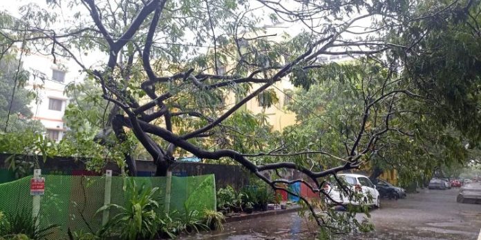 മഴക്കെടുതിയില് വലഞ്ഞ് ചെന്നൈ ; നാളെയും അവധി പ്രഖ്യാപിച്ച് തമിഴ്നാട് സര്ക്കാര് മഴക്കെടുതിയില് വലഞ്ഞ് ചെന്നൈ ; നാളെയും അവധി പ്രഖ്യാപിച്ച് തമിഴ്നാട് സര്ക്കാര്