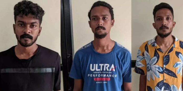 നൈറ്റ് ഡ്രോപ്പർ ടാസ്ക് ടീം : കൊച്ചി മയക്കുമരുന്ന് ശൃംഖലയിലെ പ്രധാന കണ്ണികൾ പിടിയിൽ നൈറ്റ് ഡ്രോപ്പർ ടാസ്ക് ടീം : കൊച്ചി മയക്കുമരുന്ന് ശൃംഖലയിലെ പ്രധാന കണ്ണികൾ പിടിയിൽ