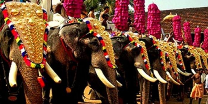 ഉത്സവങ്ങൾക്ക് 25 ലക്ഷം രൂപയുടെ ഇൻഷുറൻസ് നിർബന്ധം, ആനകളെ എഴുന്നള്ളിക്കുമ്പോൾ പാലിക്കേണ്ട വ്യവസ്ഥകൾ പുറത്തിറക്കി ഉത്സവങ്ങൾക്ക് 25 ലക്ഷം രൂപയുടെ ഇൻഷുറൻസ് നിർബന്ധം, ആനകളെ എഴുന്നള്ളിക്കുമ്പോൾ പാലിക്കേണ്ട വ്യവസ്ഥകൾ പുറത്തിറക്കി