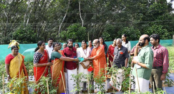ചില്ലി വില്ലേജ് ; വിളവെടുപ്പ് ഉദ്ഘാടനം നടന്നു ചില്ലി വില്ലേജ് ; വിളവെടുപ്പ് ഉദ്ഘാടനം നടന്നു