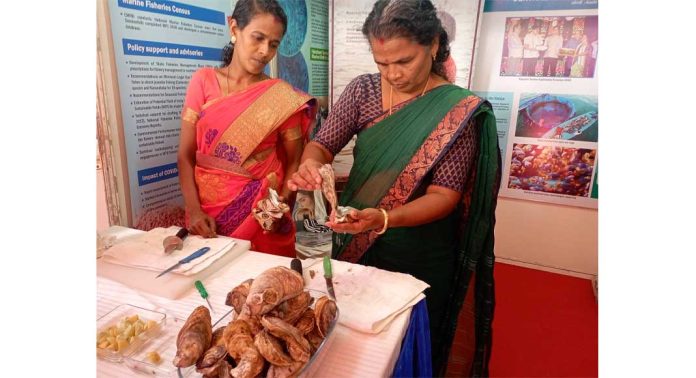മില്ലറ്റും മീനും പ്രദർശന ഭക്ഷ്യമേള സമാപിച്ചു മില്ലറ്റും മീനും പ്രദർശന ഭക്ഷ്യമേള സമാപിച്ചു